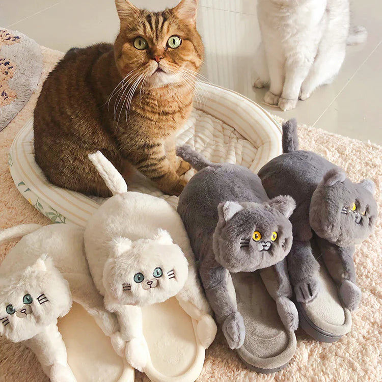 Cat Slippers